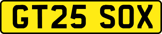 GT25SOX