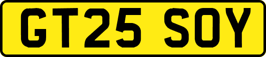GT25SOY
