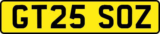 GT25SOZ