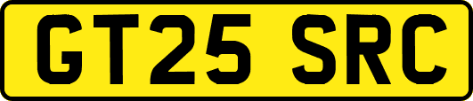GT25SRC