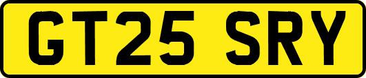 GT25SRY