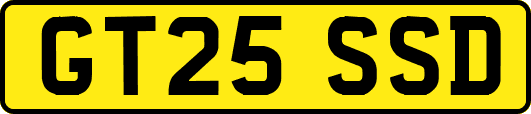 GT25SSD