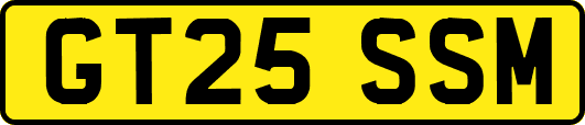 GT25SSM