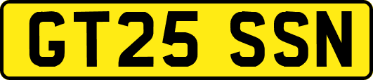 GT25SSN