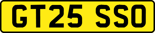 GT25SSO