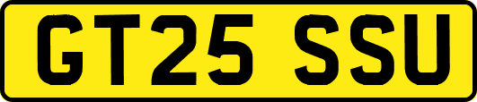 GT25SSU