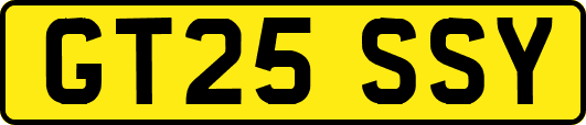 GT25SSY