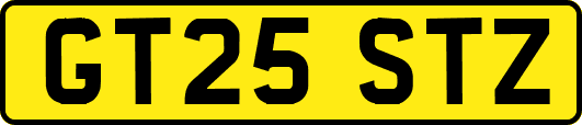 GT25STZ