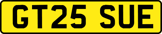 GT25SUE
