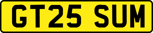 GT25SUM