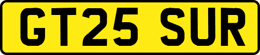 GT25SUR