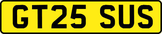 GT25SUS