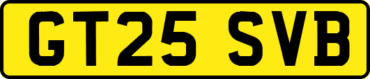 GT25SVB