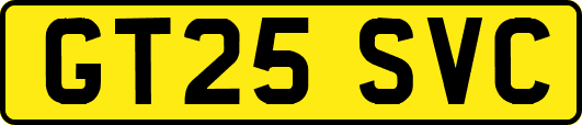 GT25SVC