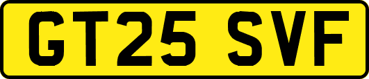 GT25SVF