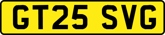 GT25SVG