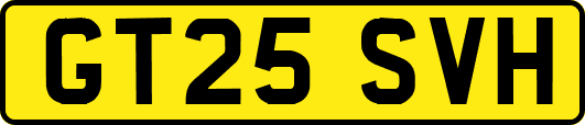 GT25SVH