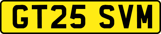 GT25SVM