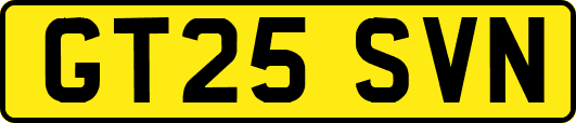 GT25SVN