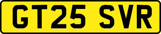 GT25SVR