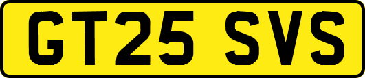 GT25SVS