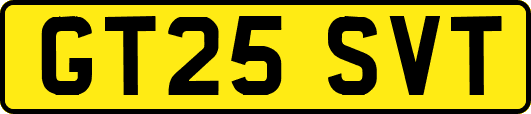 GT25SVT