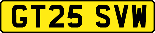 GT25SVW
