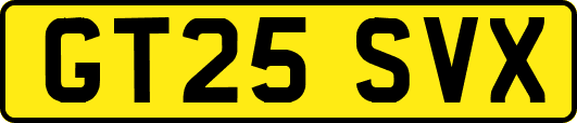 GT25SVX