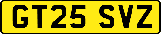 GT25SVZ