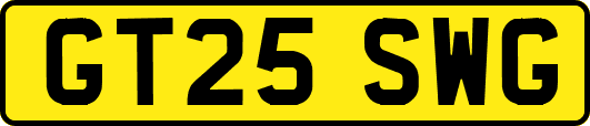 GT25SWG