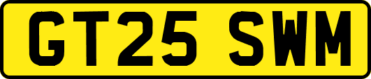 GT25SWM