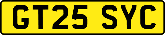 GT25SYC