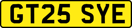 GT25SYE