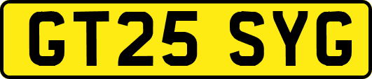 GT25SYG