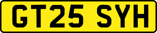 GT25SYH