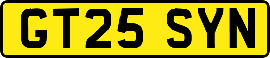 GT25SYN