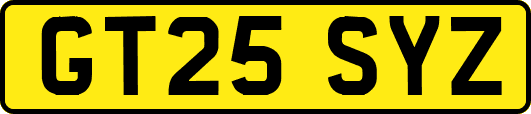 GT25SYZ
