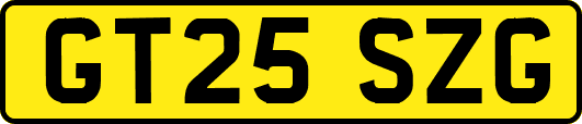 GT25SZG