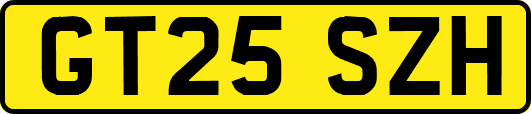 GT25SZH
