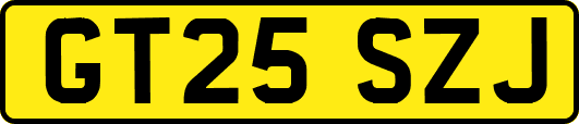 GT25SZJ