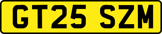 GT25SZM