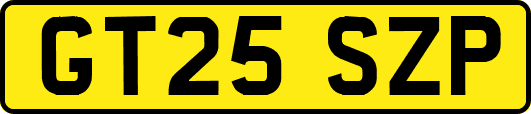 GT25SZP
