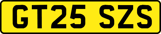 GT25SZS
