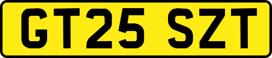 GT25SZT