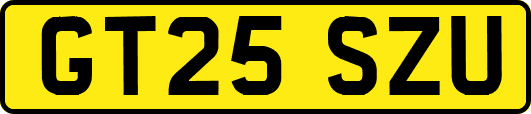 GT25SZU