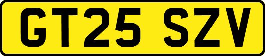GT25SZV