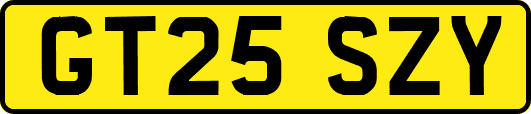 GT25SZY