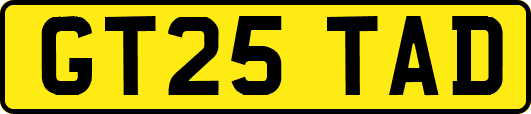 GT25TAD