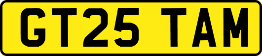 GT25TAM