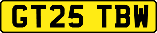 GT25TBW